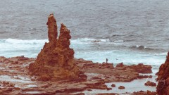 2503020014