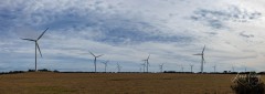 25031400032-Pano